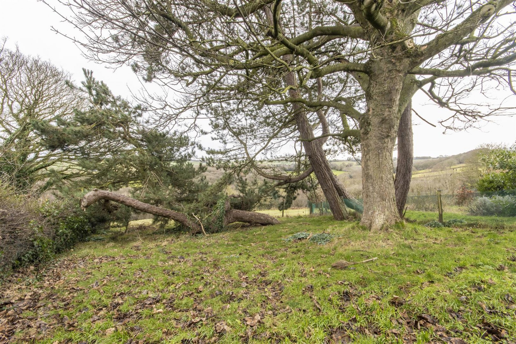 Chander Hill, Holymoorside, Chesterfield