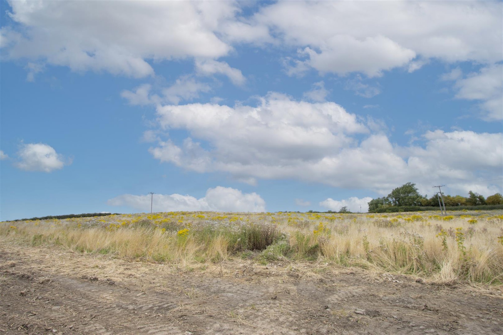 Whittington Road, Barrow Hill, Chesterfield