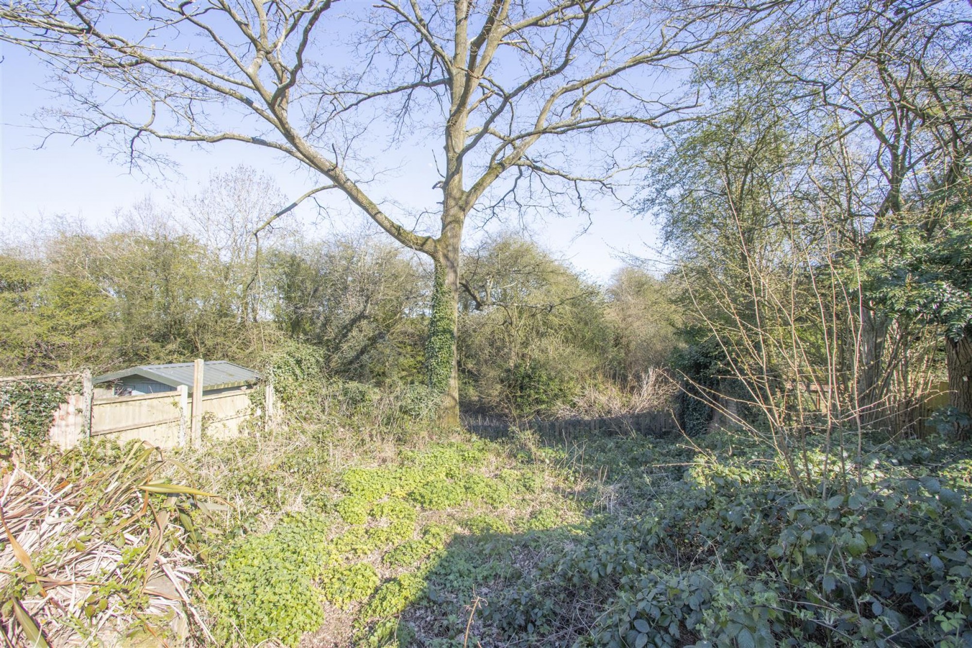 Woodland Way, Old Tupton, Chesterfield