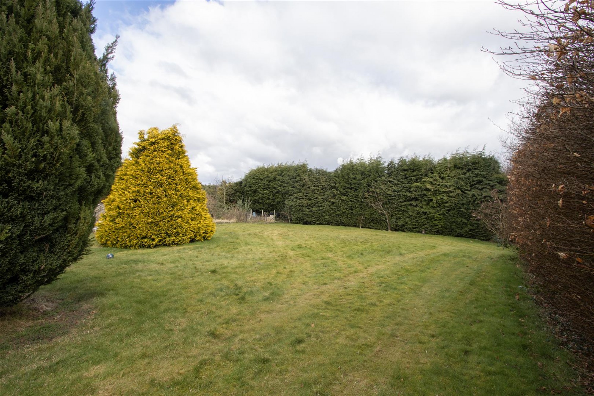Foljambe Avenue, Walton, Chesterfield