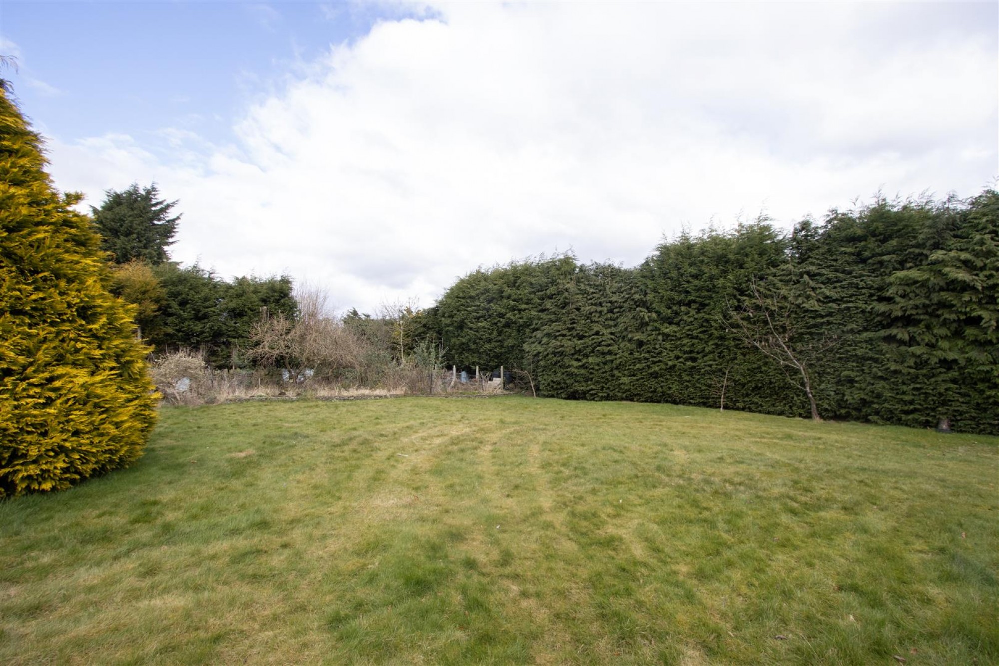 Foljambe Avenue, Walton, Chesterfield