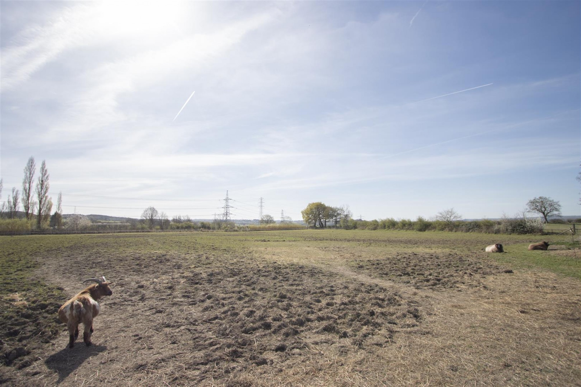 Development Site at The Stables, Dark Lane, Calow, Chesterfield