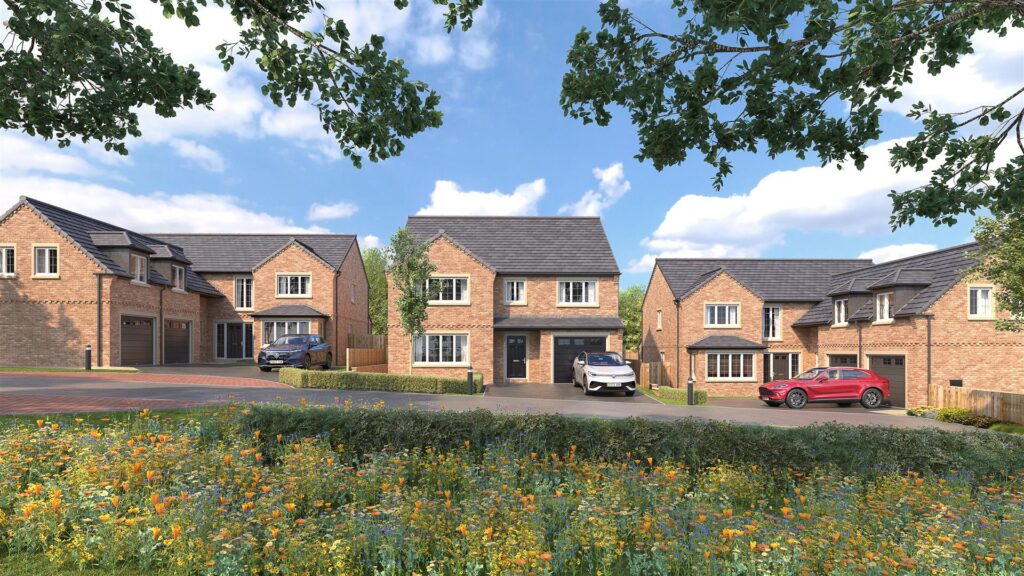 Morton Paddock, Brassington Lane, Old Tupton